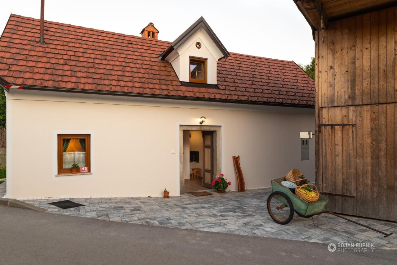 Cherry House - Cosy House - Ideal For Bear Watching, In The Neighborhood Of The Medieval Sneznik Castle Stari Trg pri Lozu Bagian luar foto