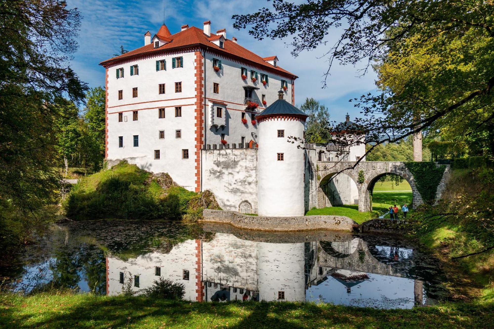 Cherry House - Cosy House - Ideal For Bear Watching, In The Neighborhood Of The Medieval Sneznik Castle Stari Trg pri Lozu Bagian luar foto